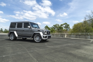 progressiveautosports_2004gwagon0013